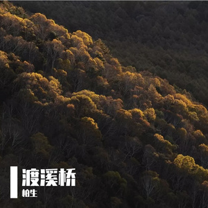 渡溪桥