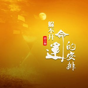 躲不开命运的安排(广场舞曲版)