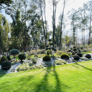 《旅途的诗篇》