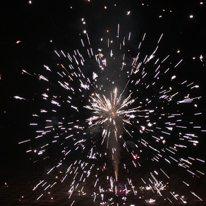 今夜的江滩公园没有烟花跨年