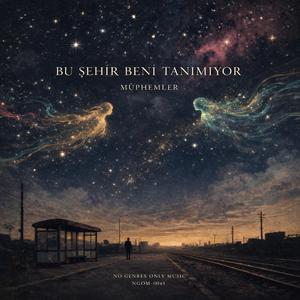 Bu Şehir Beni Tanımıyor