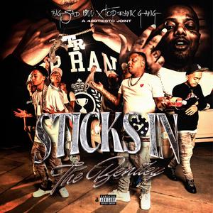 Sticks In The Bentley