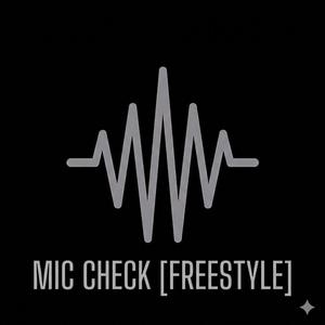 MIC CHECK (Freestyle)