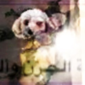 ˖⁺ɪ̴ gօτ my ʜɛɑ∂ρʜօɴɛs օ̴ɴ̴︶꒷꒦