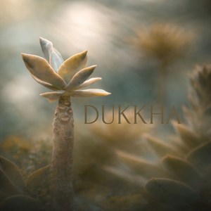 Seeing the Cracks Gently