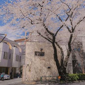 博爱（翻自 马旭东）