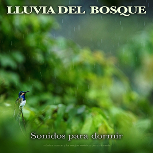 Lluvia del Bosque