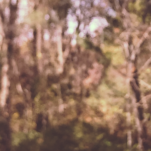 wish i was (Starboom Bootleg)