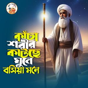 কাঁচা সরিল কাটছে ঘুনে