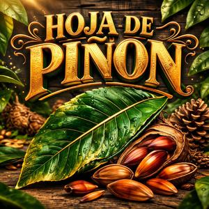 Hoja De Piñon