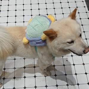 裂纹
