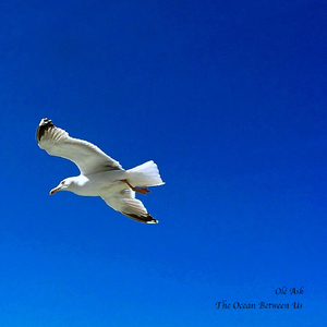 The Ocean Between Us (feat. Paul Warren & Kari Iveland)