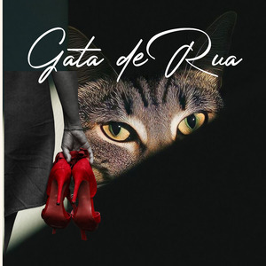 Gata de rua