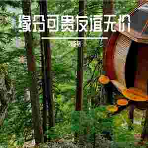 缘分可贵友谊无价