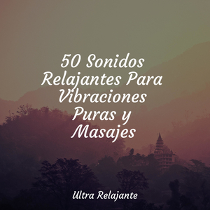 Canción De Gaviota