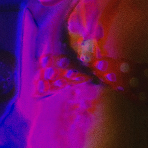 Freshly Killed (Instrumental Version)