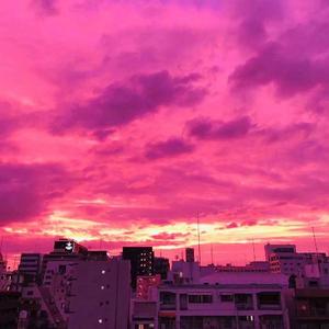 【Free】警报解除