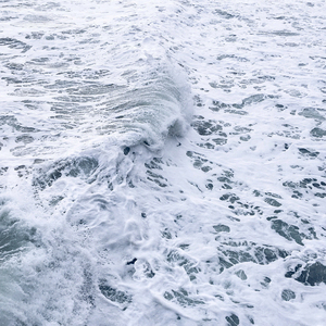 Serenity Of The Seas