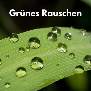 Feines Rauschen
