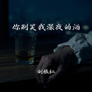 你别笑我深夜的酒