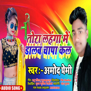tora lahnga me chapakal dalam