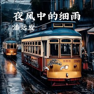 夜风中的细雨