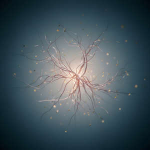 Raízes no silêncio