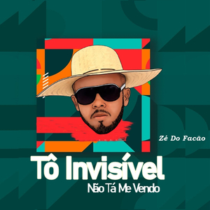 Tô Invisível Não Tá Me Vendo