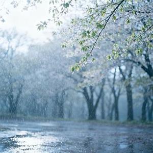 像春天第一场雨