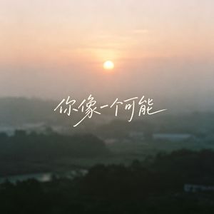 你像一个可能