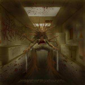 Neural Collapse In The Flesh Assimilation Chamber