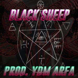 BlackSheep