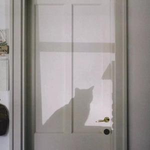 不为谁而作的歌