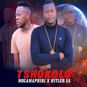 Tshokolo (Mogamaphiri x Hitler SA)