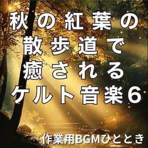 木漏れ日の道に舞うリール