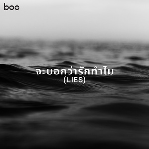 จะบอกว่ารักทำไม