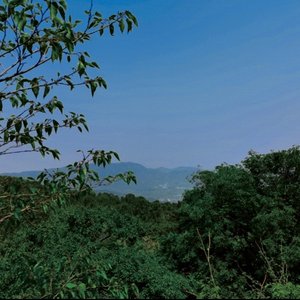 少年听雨歌楼上