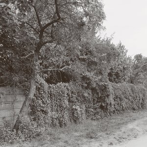 Elysium (Mollono.Bass Remix)