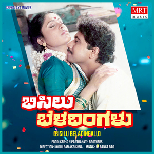 BISILU BELADINGALAADARE