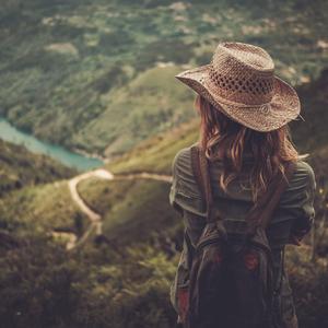 Calming Forest Stream