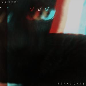 It's Funny How the Same People That 5 Years Ago Used to Tell Me "I Love You Too" Now They Don't Know or Even Care What I've Been Through