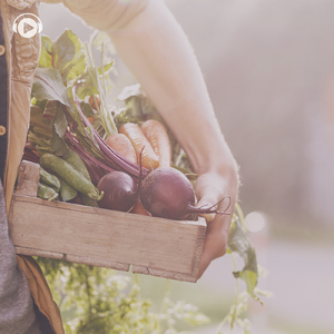 Day break (feat. Make a field Music)