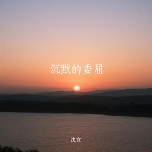 沉默的委屈