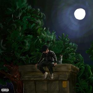 Umutsuzluğumun Anıları