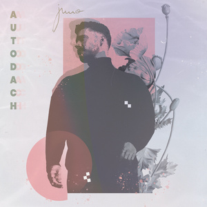 Autodach