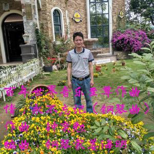 难忘师恩（百年世界至尊钢琴曲、世界王牌作曲人钟奕勉至尊作曲）