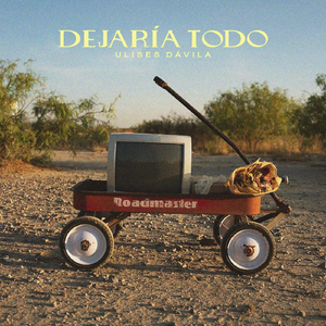 Dejaría Todo