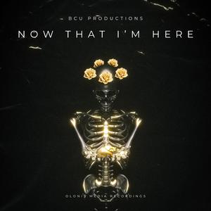 On The Rise (feat. Dips)