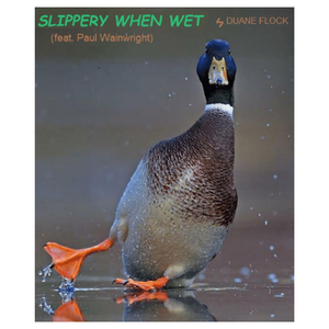 Slippery When Wet (feat. Paul Wainwright)