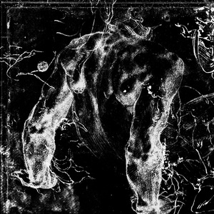 Collapse (Snakes of Russia Remix)